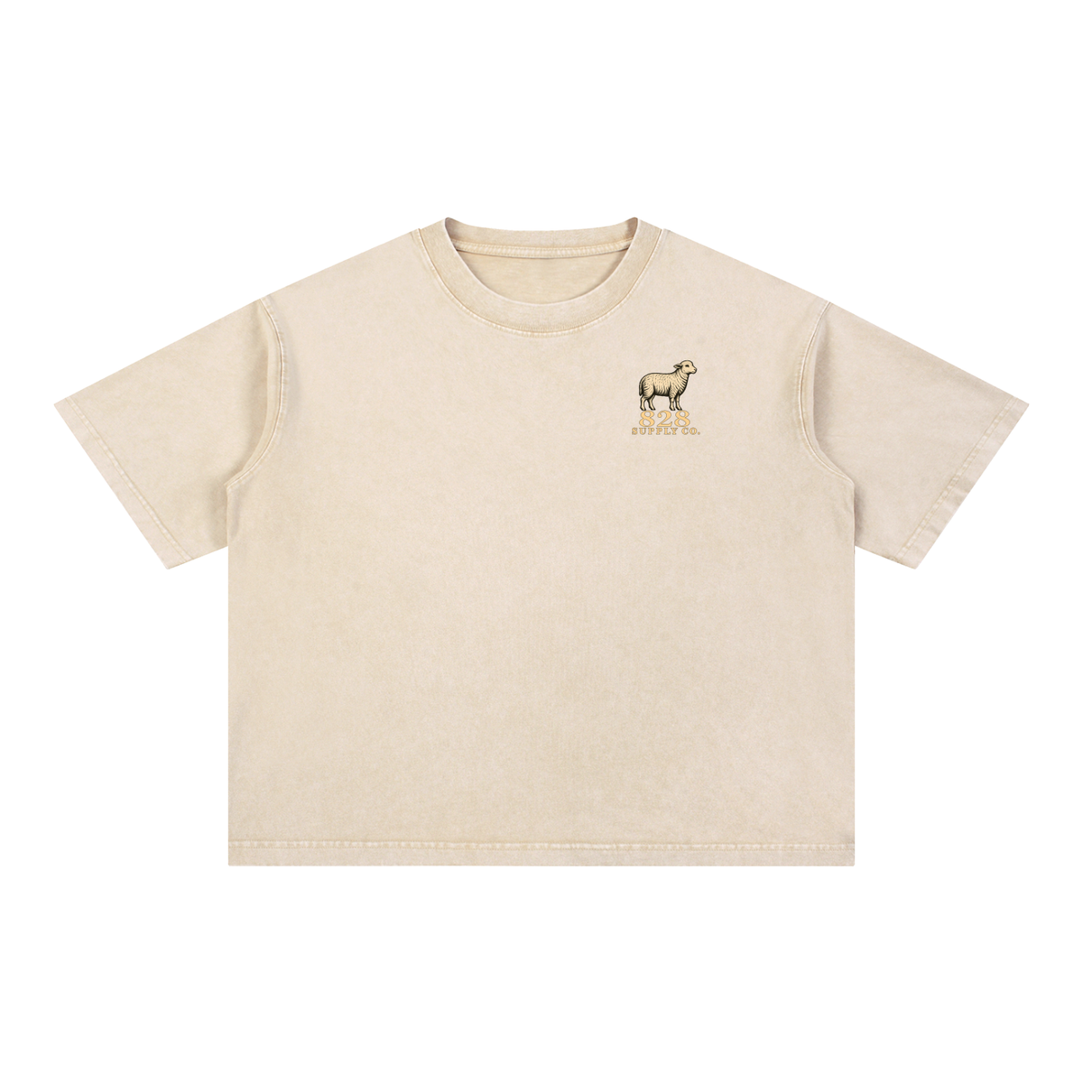 Pray More Worry Less - Mineral Wash Boxy 100% Heavy Cotton T-Shirt